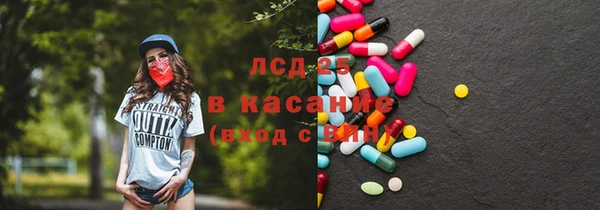 2c-b Инсар