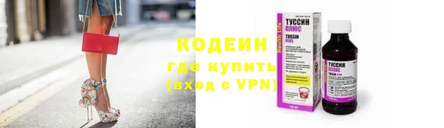 2c-b Инсар