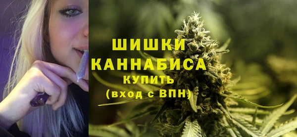 2c-b Инсар