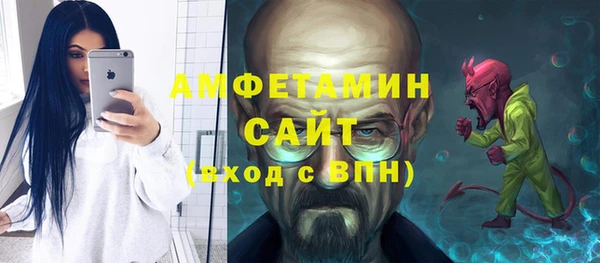 2c-b Инсар